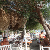 фото из отзыва ID 2051206