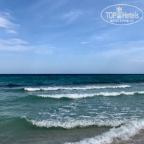 фото из отзыва ID 2051464