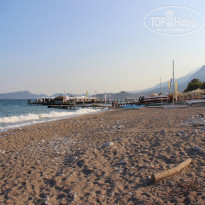 фото из отзыва ID 2051474