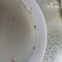 фото из отзыва ID 2051592