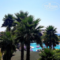 фото из отзыва ID 2051686