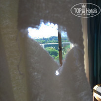 фото из отзыва ID 2051823