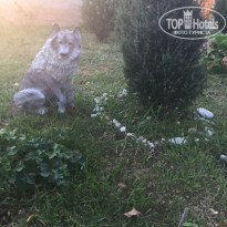 фото из отзыва ID 2051865