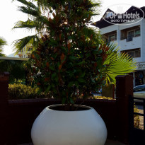 фото из отзыва ID 2050269