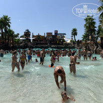 фото из отзыва ID 2051847