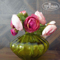 фото из отзыва ID 2052054