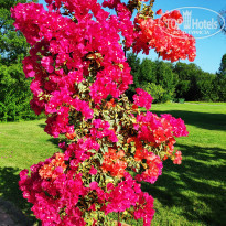 фото из отзыва ID 2050030