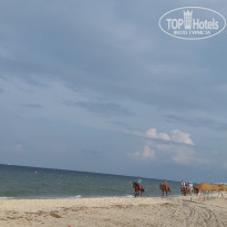 фото из отзыва ID 2052148