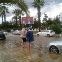 фото из отзыва ID 2052148