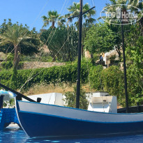 фото из отзыва ID 2052130