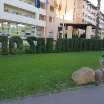 фото из отзыва ID 2052151