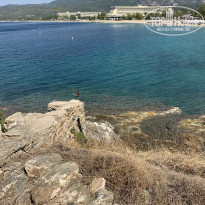 фото из отзыва ID 2052230