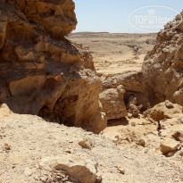 фото из отзыва ID 2052372