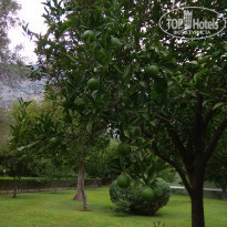 фото из отзыва ID 2052529