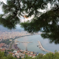 фото из отзыва ID 2052063