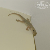 фото из отзыва ID 2052525