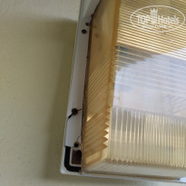 фото из отзыва ID 2052590