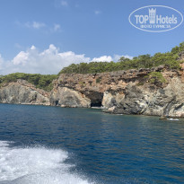 фото из отзыва ID 2052617