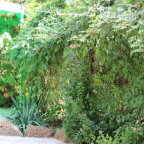 фото из отзыва ID 2052766