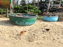 Orianna Resort
