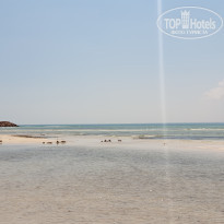 фото из отзыва ID 2052950