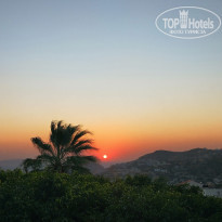 фото из отзыва ID 2052983