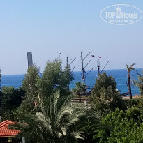 фото из отзыва ID 2053115