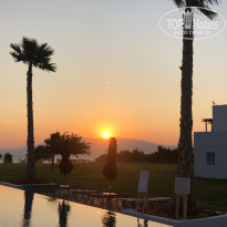 фото из отзыва ID 2053188