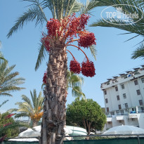 фото из отзыва ID 2053299