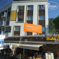 фото из отзыва ID 2053305