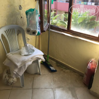 фото из отзыва ID 2053456