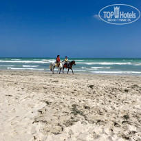 фото из отзыва ID 2053617