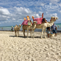 фото из отзыва ID 2053617