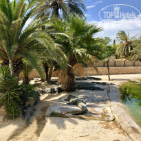 фото из отзыва ID 2053617