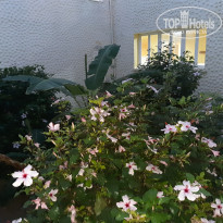 фото из отзыва ID 2053623