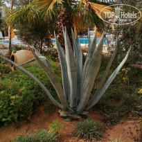 фото из отзыва ID 2053678