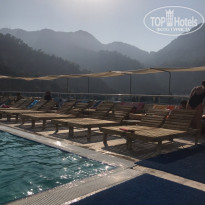 фото из отзыва ID 2053736