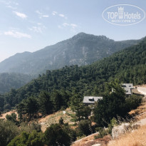 фото из отзыва ID 2053736