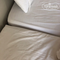 фото из отзыва ID 2053767