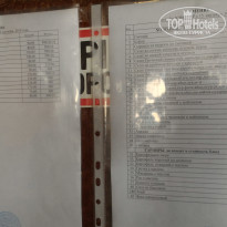 фото из отзыва ID 2053694