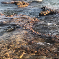 фото из отзыва ID 2053900