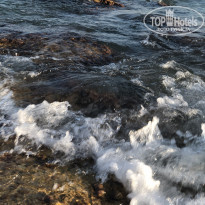 фото из отзыва ID 2053900