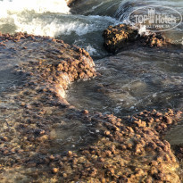 фото из отзыва ID 2053900