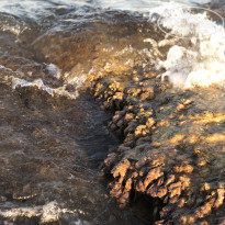 фото из отзыва ID 2053900