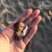 фото из отзыва ID 2053900