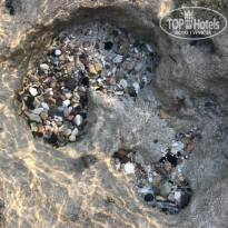 фото из отзыва ID 2053900