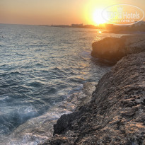 фото из отзыва ID 2053900