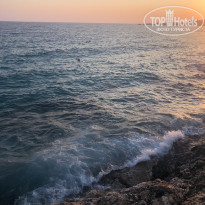 фото из отзыва ID 2053900