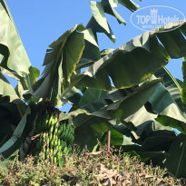 фото из отзыва ID 2053244