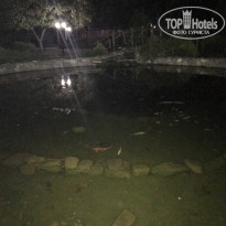 фото из отзыва ID 2051604